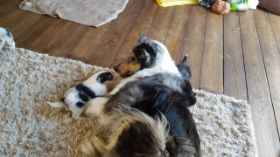 Alle freiwillig_.jpg